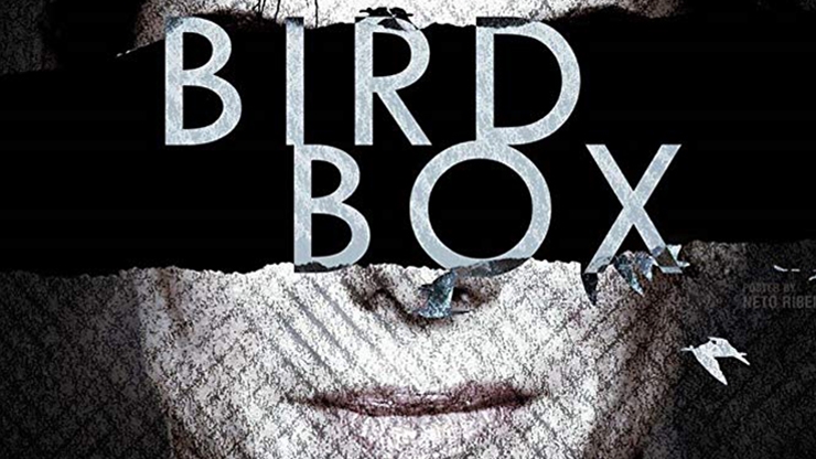 Critique du film Bird Box disponible sur Netflix